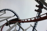 IMG_5274