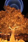 IMG_6027