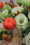 IMG_1961