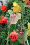 IMG_1963
