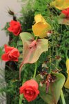 IMG_1964