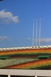 IMG_1965