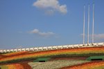 IMG_1966