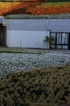IMG_1967