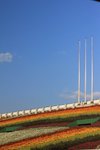 IMG_1972