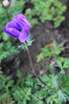 IMG_2005