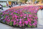 IMG_2027