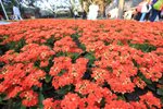IMG_2041