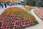 IMG_2044