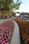 IMG_2048