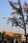 IMG_2052