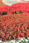 IMG_2058