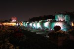 IMG_2184