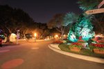 IMG_2190