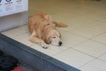 IMG_6551