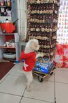 IMG_9192