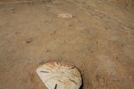 IMG_9407