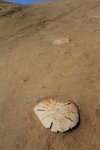 IMG_9408