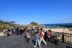 IMG_9429