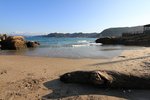 IMG_9440