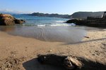 IMG_9441