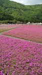IMG_20160514_130101_AO_HDR