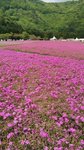 IMG_20160514_130109_AO_HDR