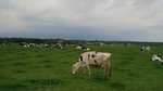 IMG_20160514_132811_AO_HDR