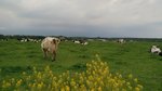IMG_20160514_132936_AO_HDR