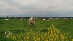 IMG_20160514_132939_AO_HDR
