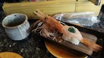 IMG_20160514_164531