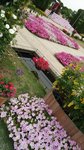 IMG_20160516_170355