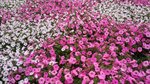 IMG_20160516_170432