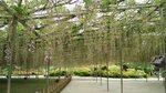 IMG_20160516_170636