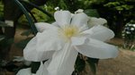 IMG_20160516_170806