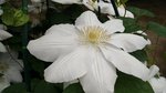 IMG_20160516_170815