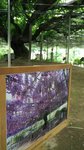 IMG_20160516_170931