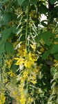 IMG_20160516_171128