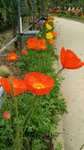 IMG_20160516_171251