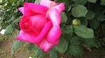 IMG_20160516_171312