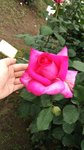 IMG_20160516_171318