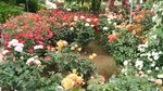 IMG_20160516_171341