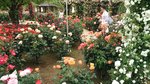IMG_20160516_171349