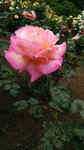 IMG_20160516_171433