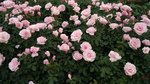 IMG_20160516_171653