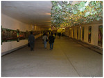 DSCF3136