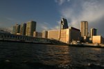 IMG_5526