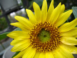 DSC01700