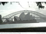 悉尼歌劇院和悉尼大橋