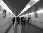 IMG_2000